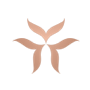 Custom Website